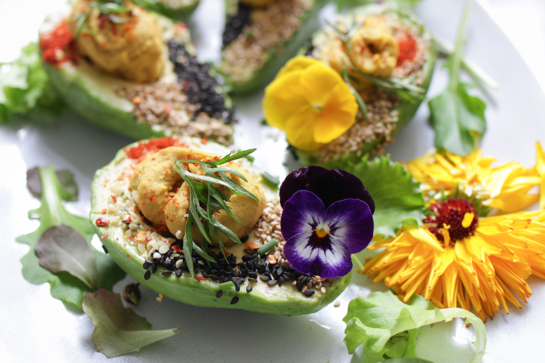 Avocado Eier
